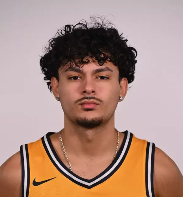 Antony Fernandez, Basketball, Dominican University