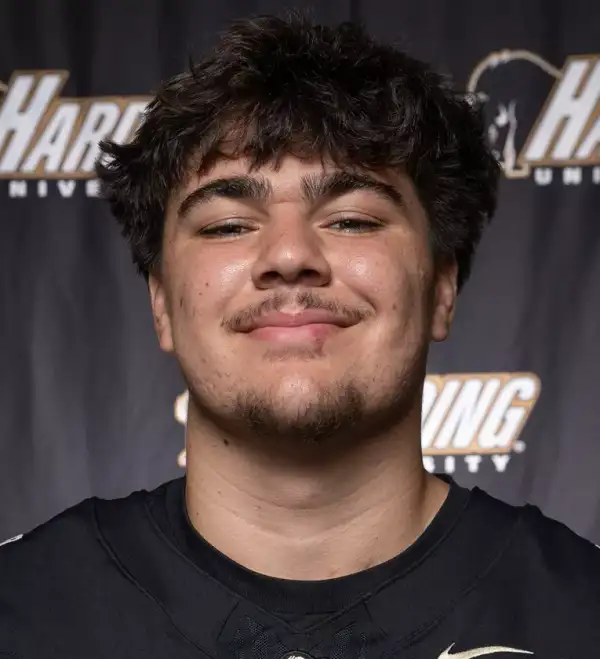 Michael Laufenburger, Football, Harding University