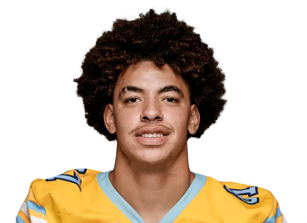 Davontae Brown, Football, undefined