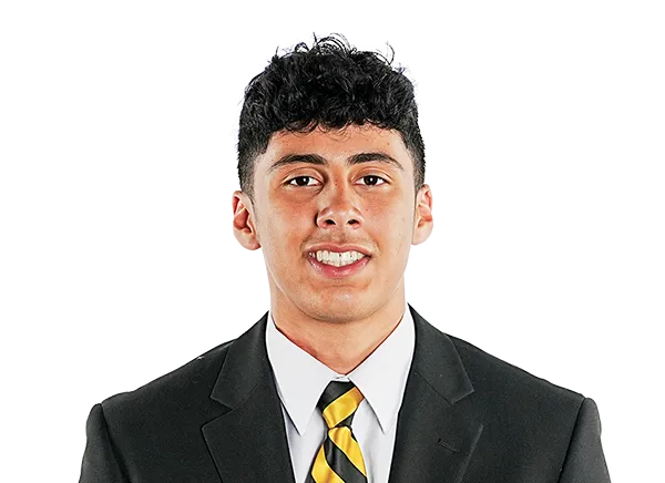 Tony Harste, Football, undefined