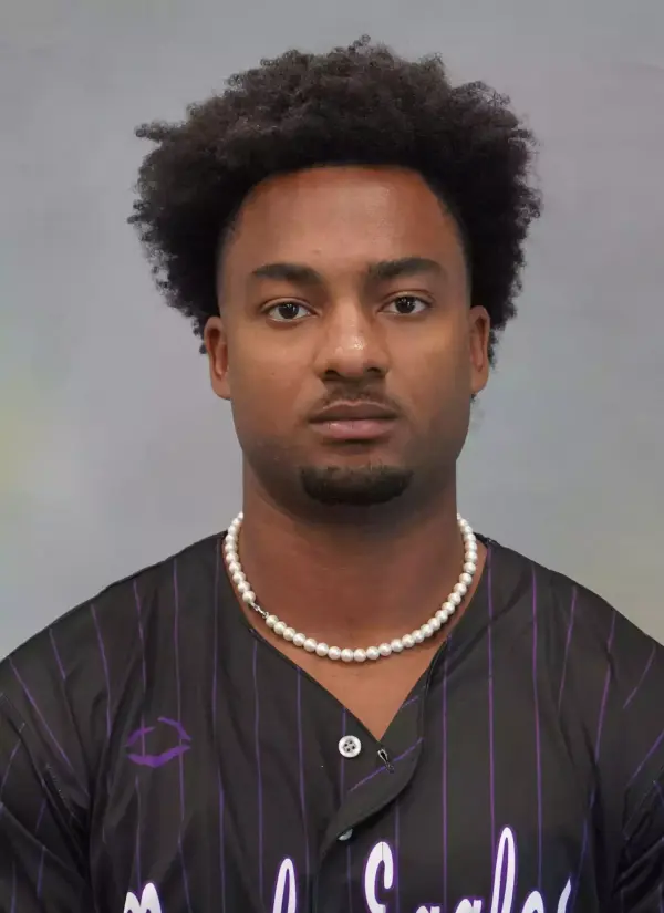 Elijha Hammill, Baseball, Niagara University