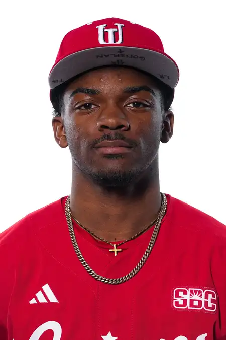 Cam Riley, Baseball, University of Louisiana at Lafayette