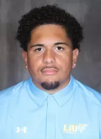Gabe Hoffler, Football, Long Island University