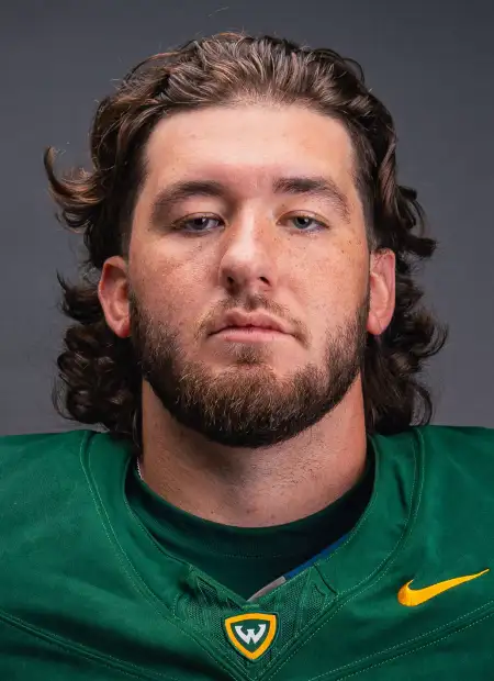 Nic Sturgill, Football, Wayne State University