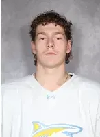 Nate Benoit, Hockey, Long Island University