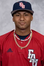 Brando Leroux, Baseball, undefined