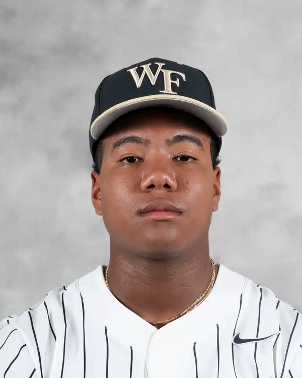 Josh Herrmann, Baseball, Wake Forest University