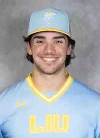 Mason Breton, Baseball, Long Island University