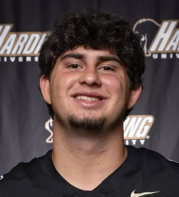 Jon Silvestri, Football, Harding University