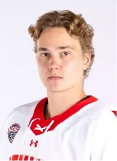 Samu Salminen, Hockey, undefined