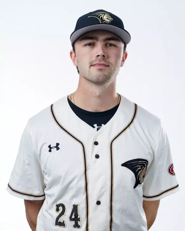 Tanner Simpson, Baseball, Lindenwood University