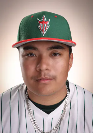 Stephen Landaz, Baseball, undefined