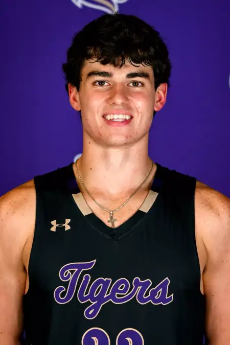 Nikolas Avaliani, Basketball, The University of the South