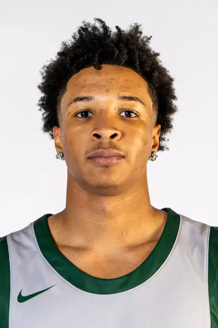 Amir Turner, Basketball, Point Park University