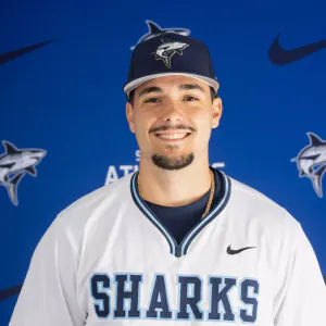 Michael Alfonso, Baseball, undefined