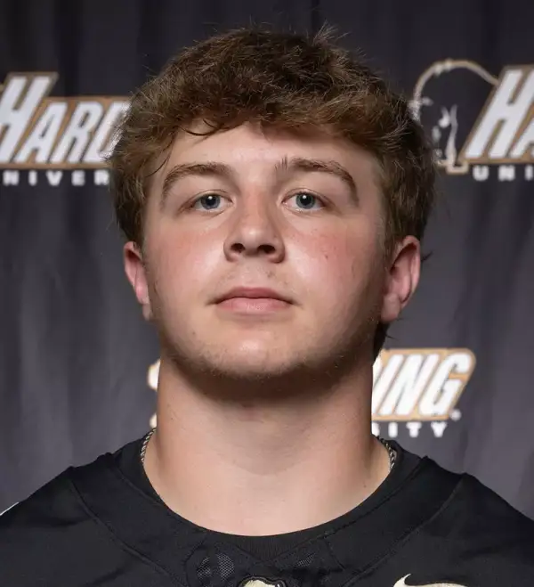 Mason Townsend, Football, Harding University