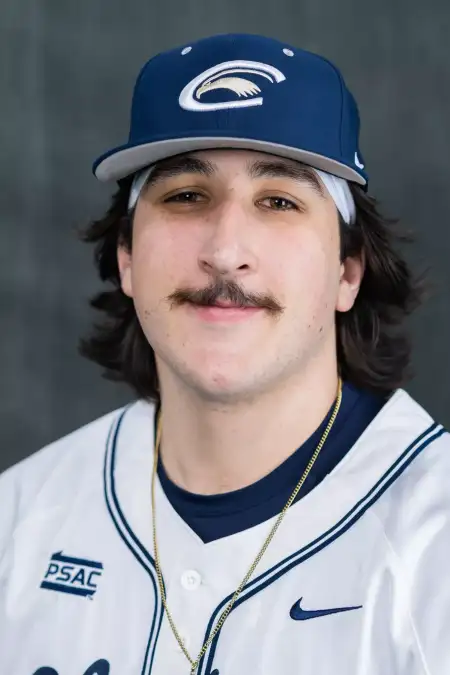 Luke Pietrandrea, Baseball, Clarion