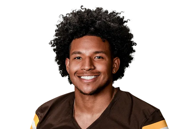 Nico Hamilton, Football, undefined