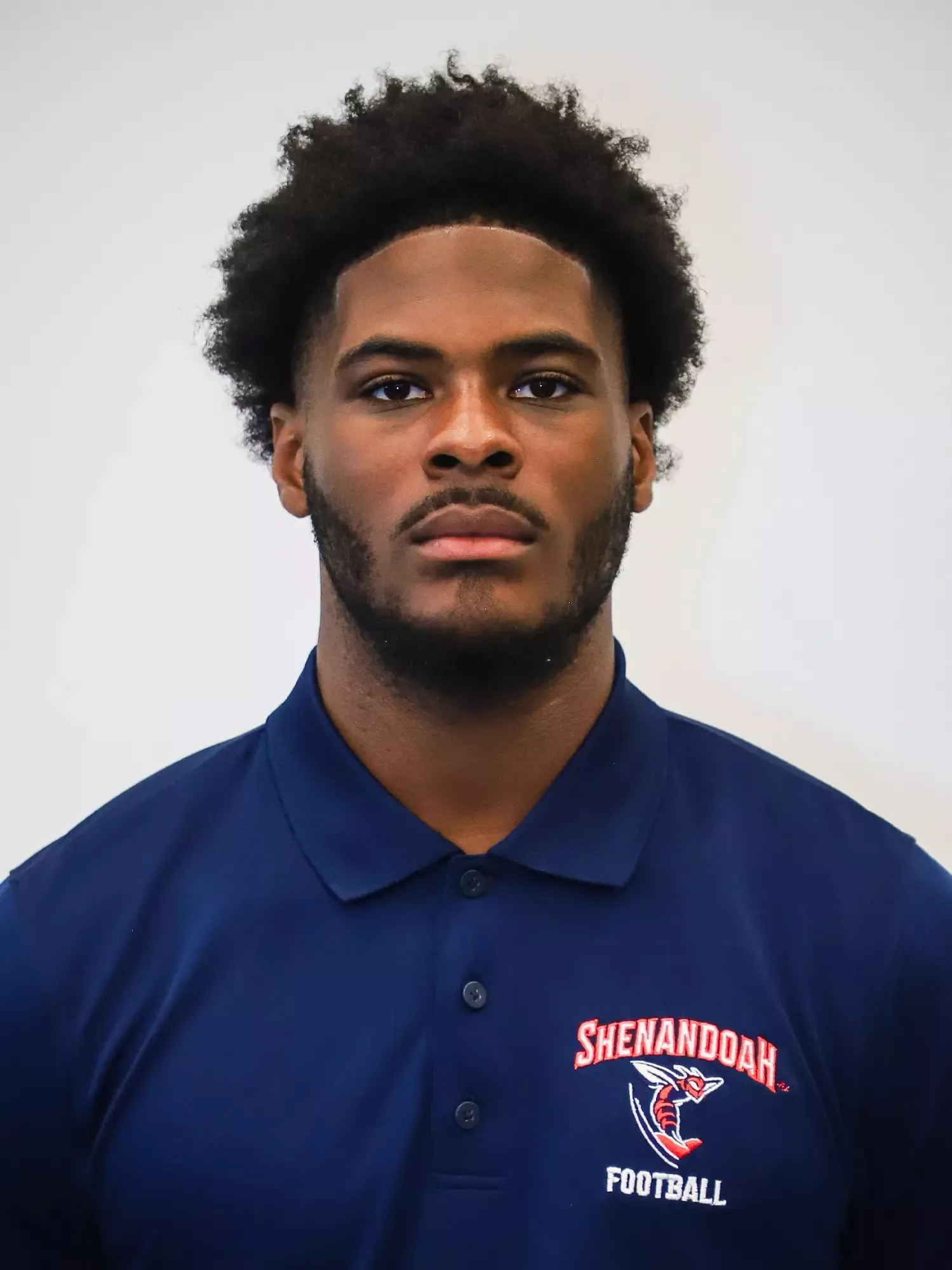 Lesean Toulson, Football, undefined