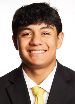 Aldo Hernandez, Wrestling, undefined