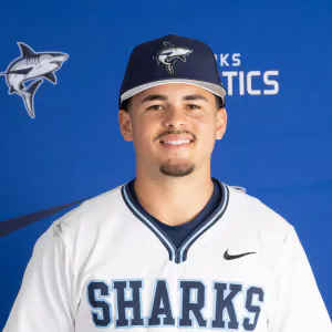 Roylan Quevedo, Baseball, undefined