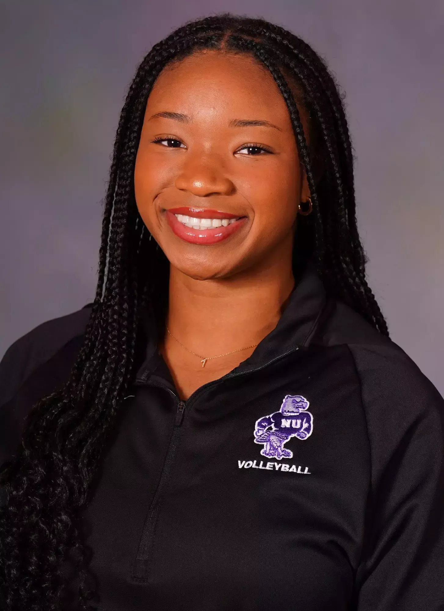 Noel Perkins, Volleyball, undefined