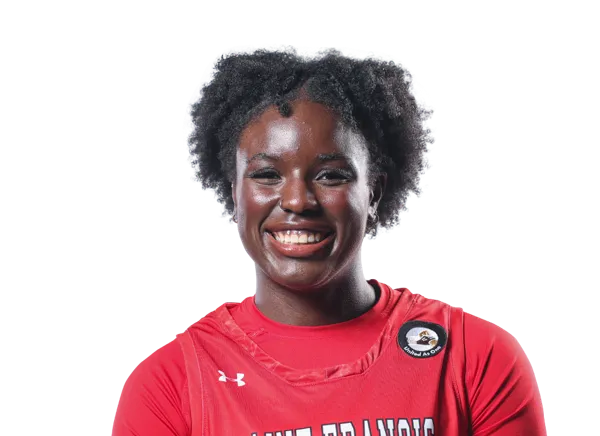 Harris Robinson, Basketball, Saint Francis University