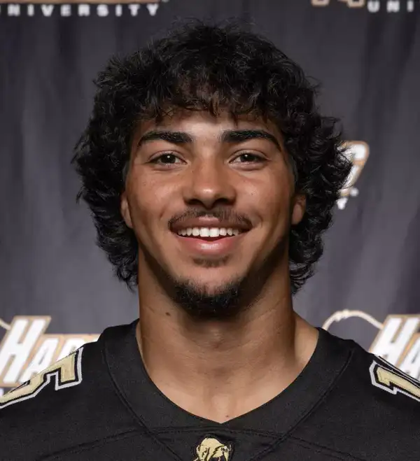 Christian Davis, Football, Harding University