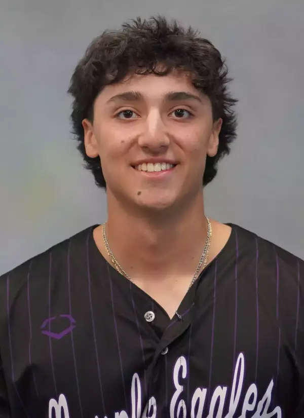 Tyler ViVacqua, Baseball, Niagara University