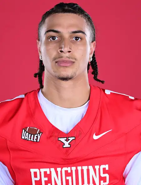 Lorenzo Jenkins, Football, Youngstown State University