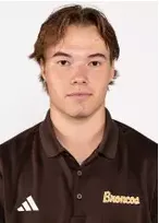 Joona Vaisanen, Hockey, undefined