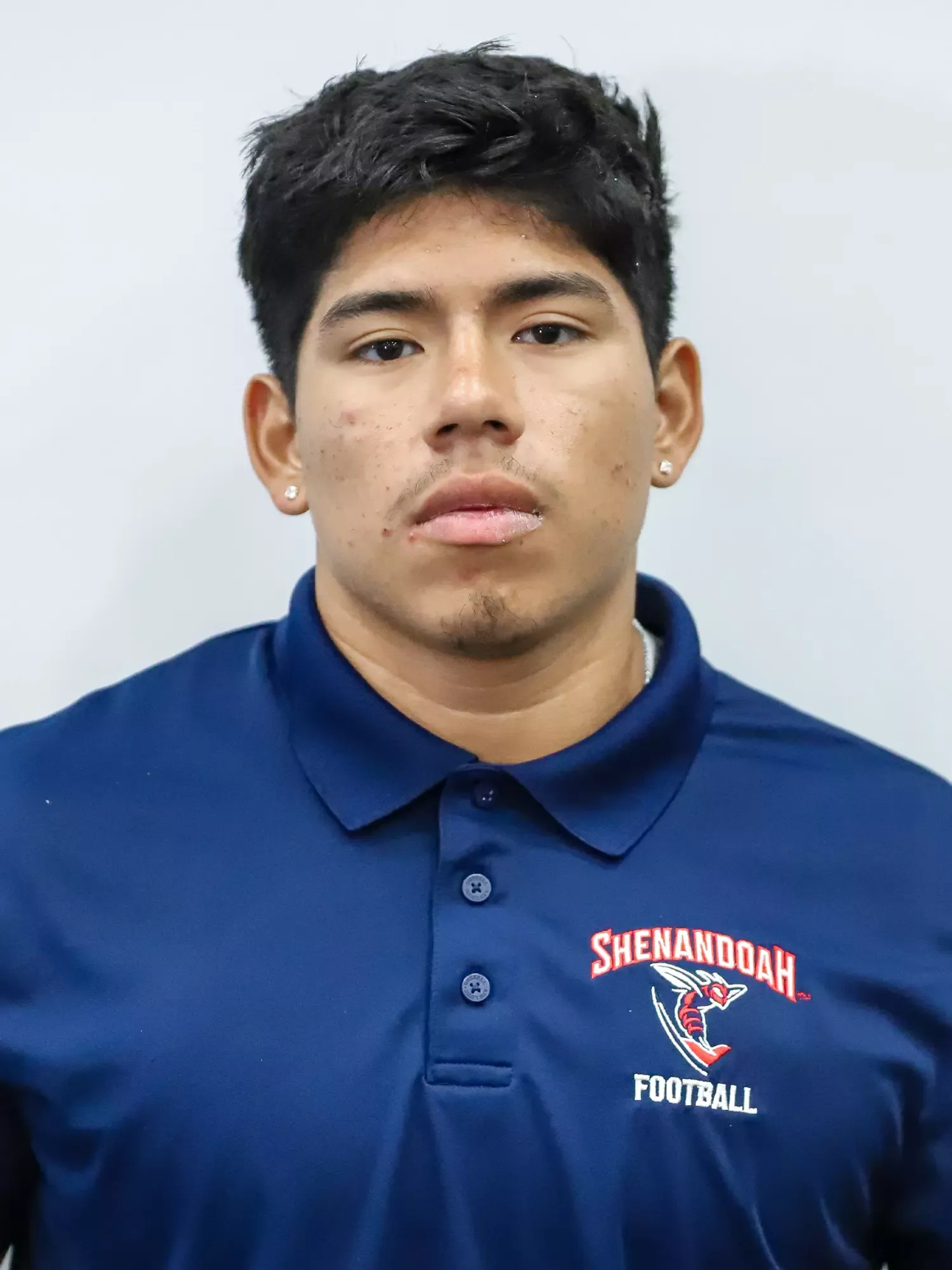 Jonathan Bermudez, Football, Shenandoah University
