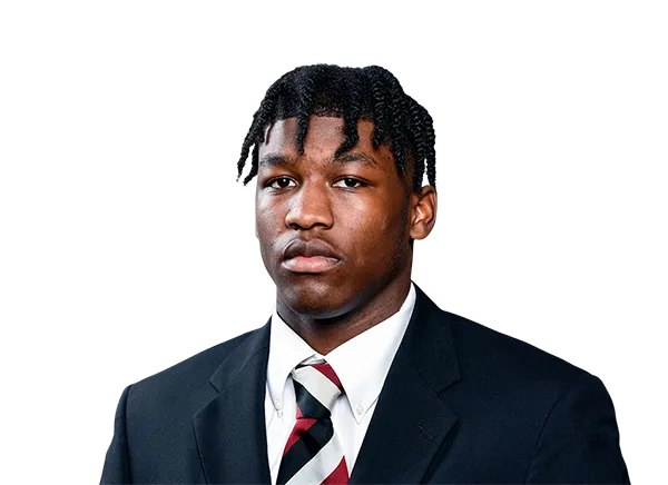 Fred JayR Johnson, Football, University of South Carolina