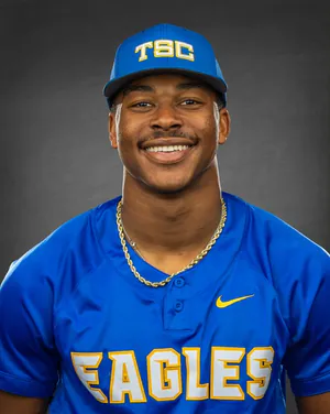 BJ Gibson, Baseball, undefined