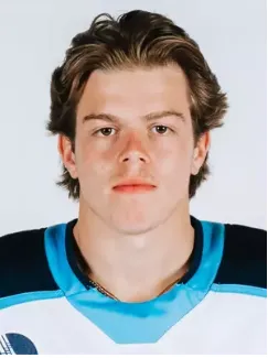 Lukas Peterson, Hockey, undefined