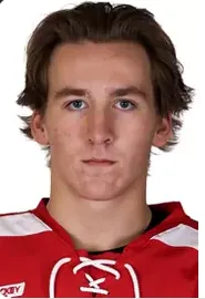 Cole Hutson, Hockey, undefined