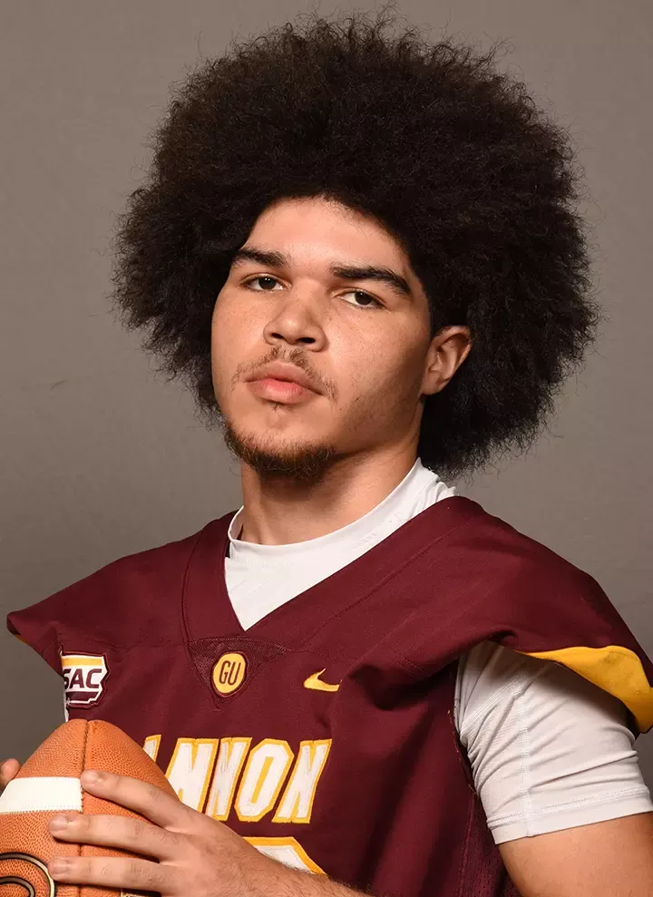 Lawrence Skelton, Football, Gannon University