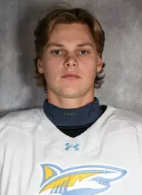 Luc Bydal, Hockey, Long Island University