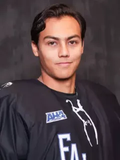 Lukas Swedin, Hockey, undefined