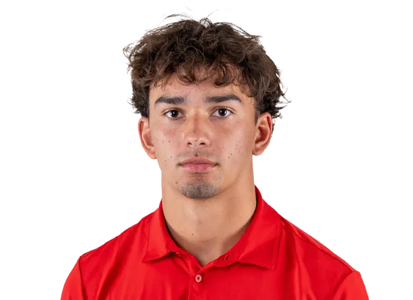 Niko Baumgartner, Football, undefined