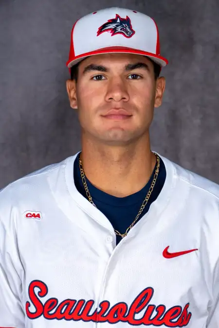 Mike Villani, Baseball, Stony Brook University