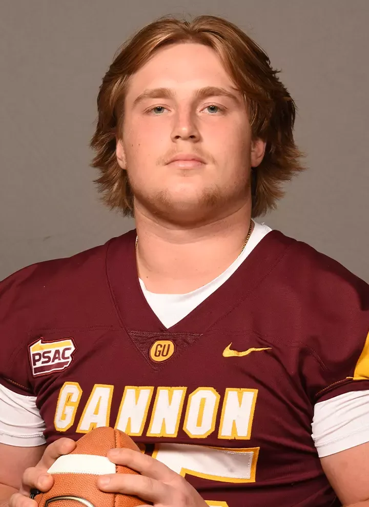 Matt Sebelia, Football, Gannon University