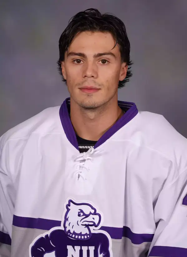 Theo Lemieux, Hockey, Niagara University