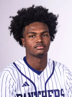 Brandon Stinson, Baseball, undefined