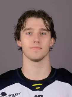 Daniel Astapovich, Hockey, undefined