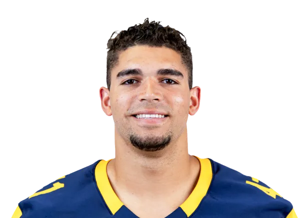 Terik Mulder, Football, undefined