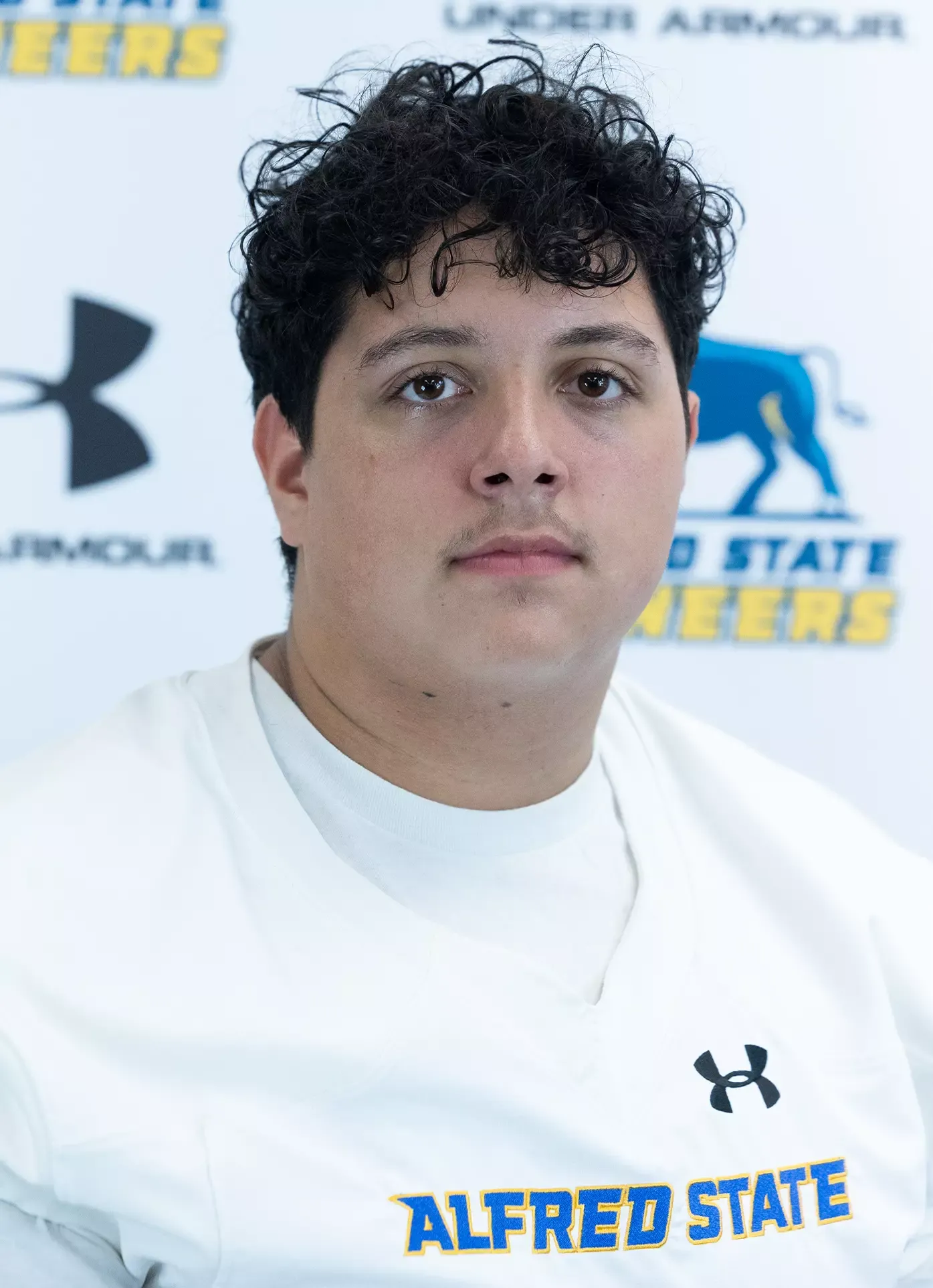 Gabe DiGrorgio, Football, Alfred State College