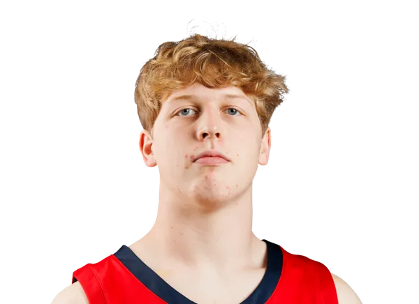 Will Gibson, Basketball, Liberty University