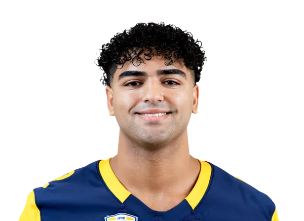 Sayed Abuhamdeh, Football, undefined