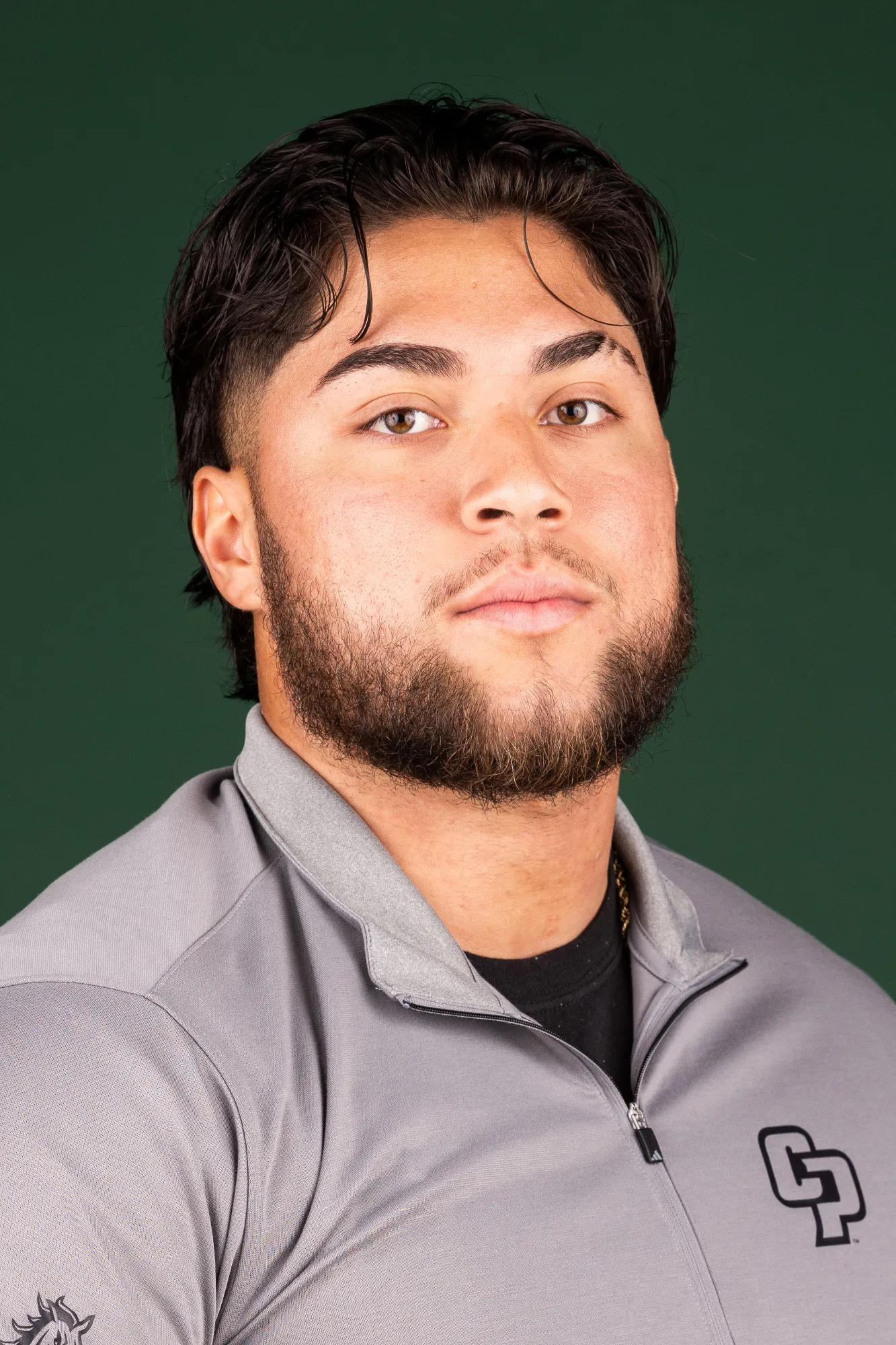 Nicholas Fernandez, Football, California Polytechnic State University